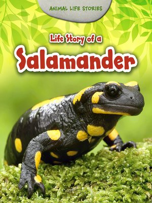 cover image of Life Story of a Salamander